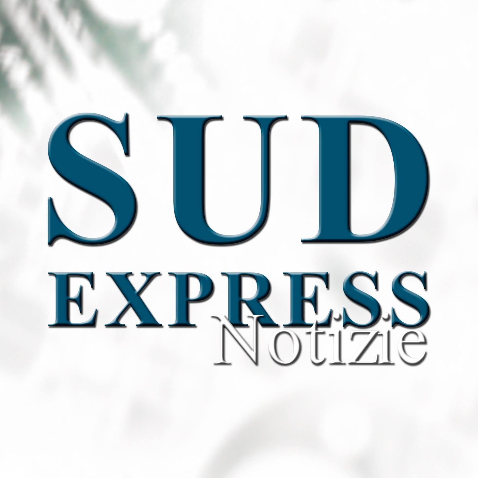 Notiziario Sud Express
