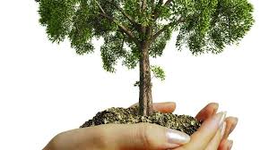 Progetto #ILMIOALBEROALPARCOFLUVIALE:
adotta un albero al Parco Fluviale di Dolianova.